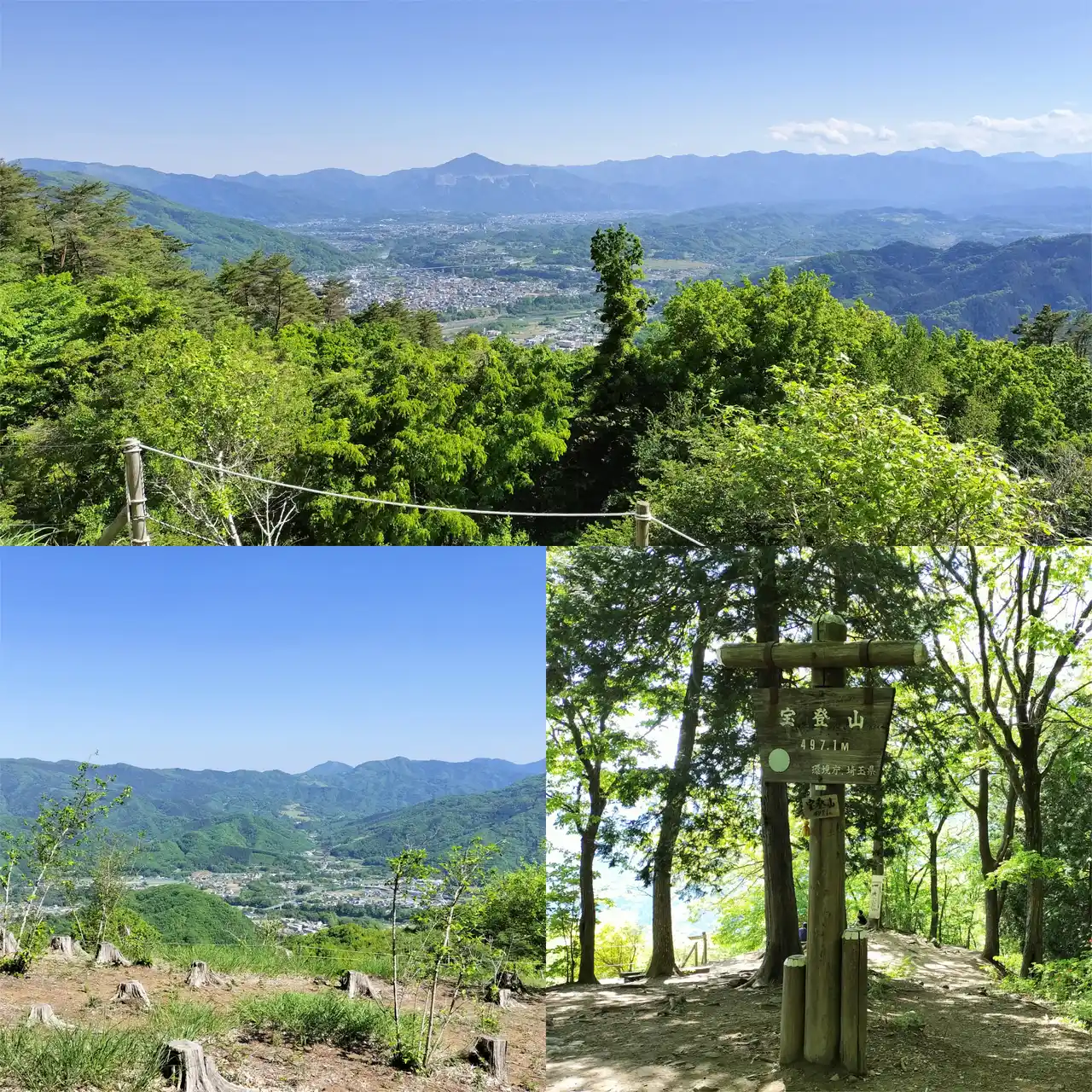 宝登山山顶.png